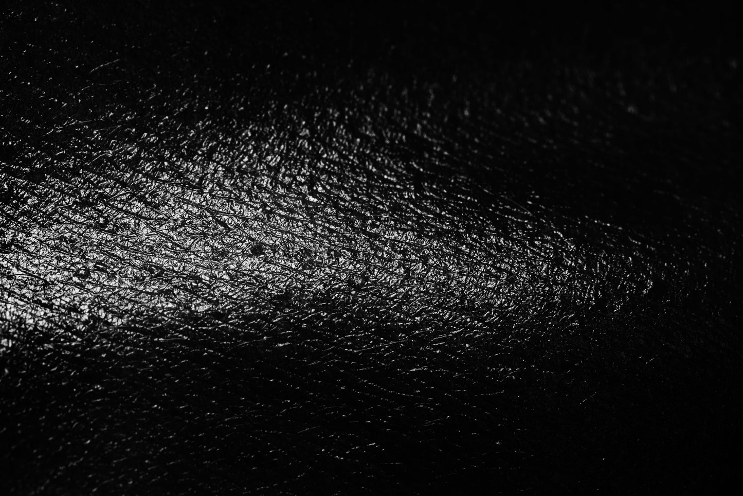 Bogotá-Bogotá Raincoat