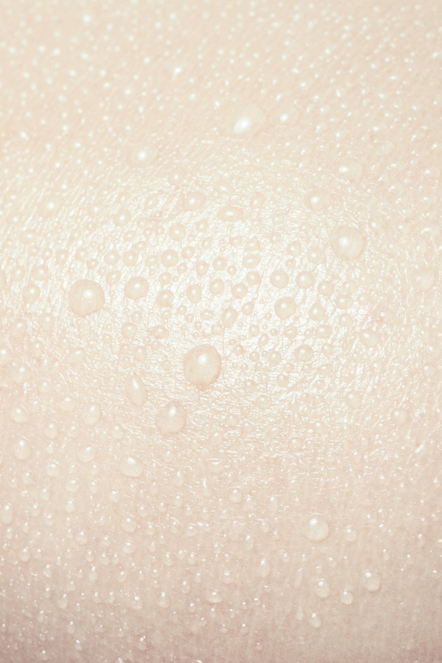 Bogotá/Hong Kong Blazer 1