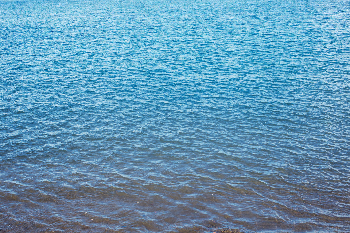 Coat Cartagena Japón