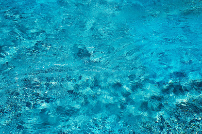 Agua Fukuoka Suit Pants