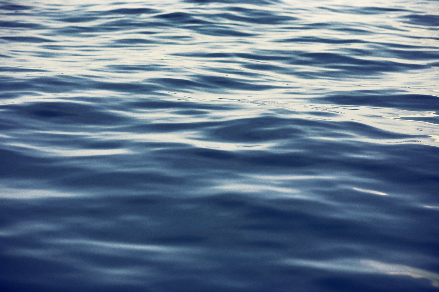 Contadora-San Andrés Blazer 1