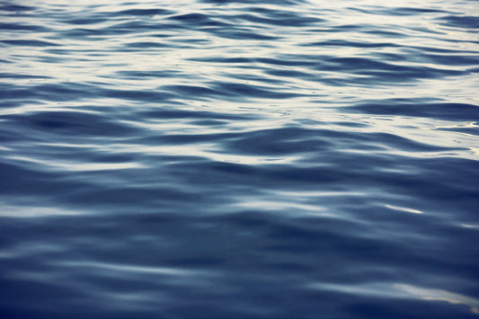 Contadora-San Andrés Blazer 1