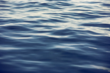 Contadora-Coney Island Tie